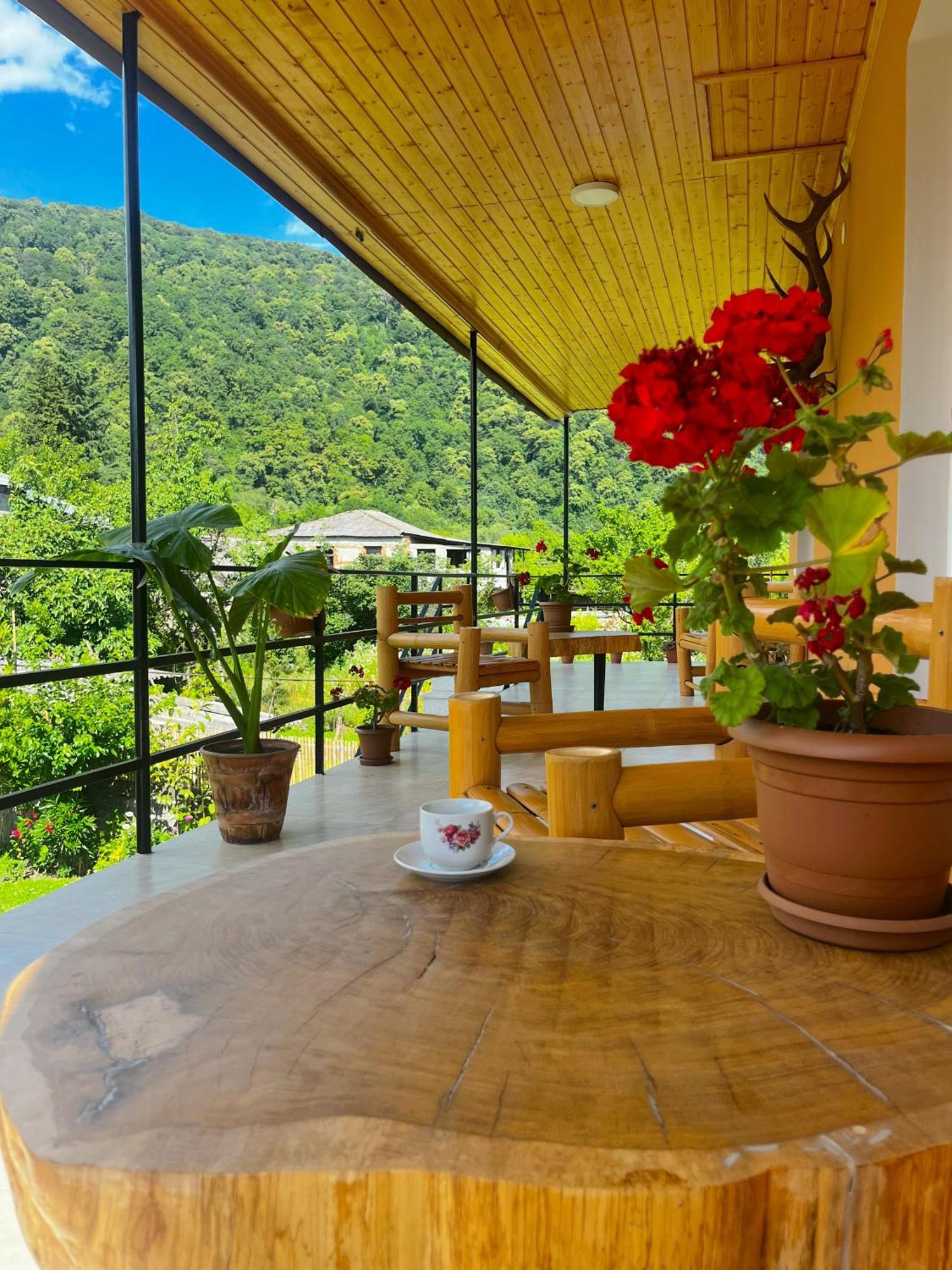 Hotel Mountain View Lagodekhi Esterno foto